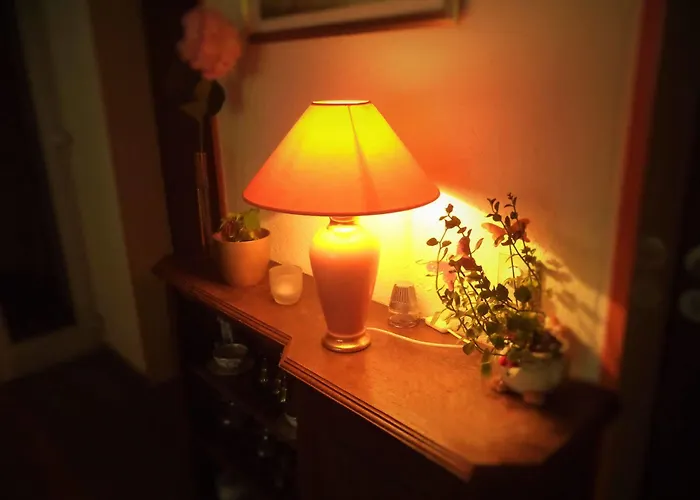 酒店 Ambassador 波恩